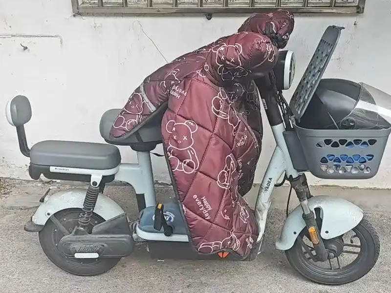 托运电动车价格表